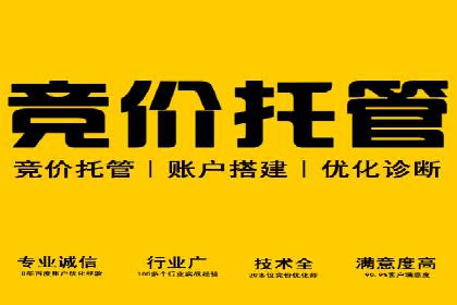 实战SEM推广竞价案例：效果显著
